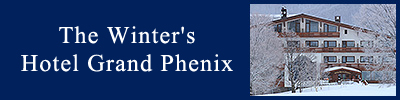 The Winter's Hotel Grand Phenix