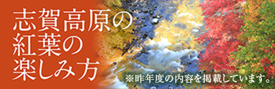 志賀高原の紅葉の楽しみ方