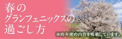 春のグランフェニックスの過ごし方