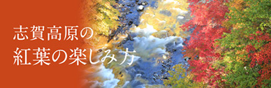 志賀高原の紅葉の楽しみ方