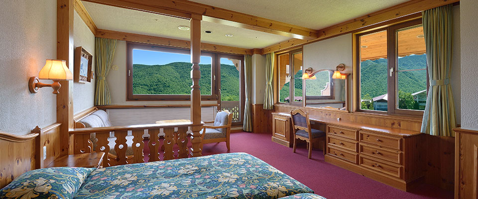 Photo - Deluxe Twin Room
