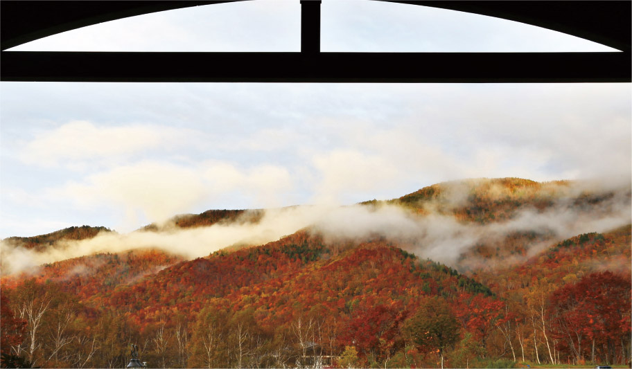 写真：紅葉と雲海