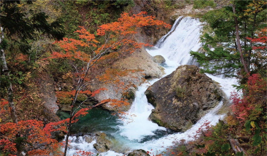 写真:三段の滝の急流に流れる落ち葉