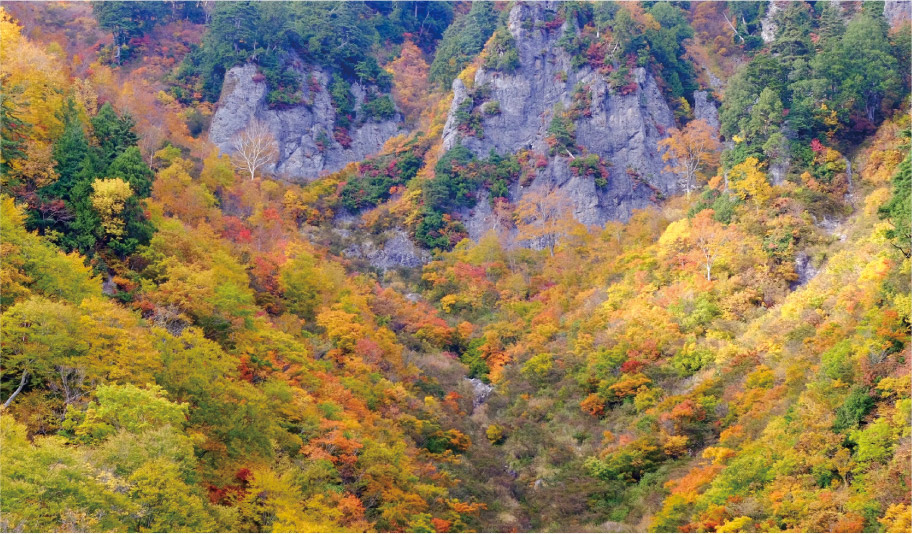 写真:山肌を彩る紅・黄・緑のコントラスト