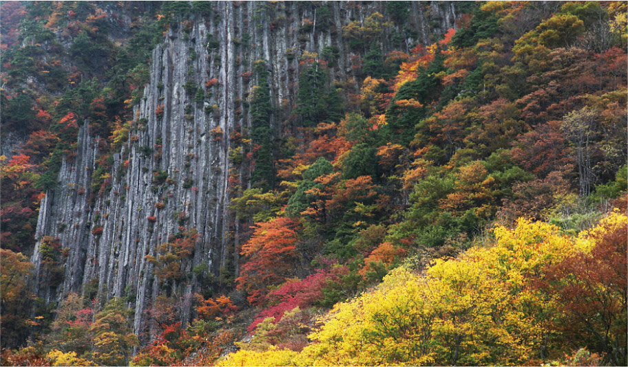 写真:柱状節理の岸壁。