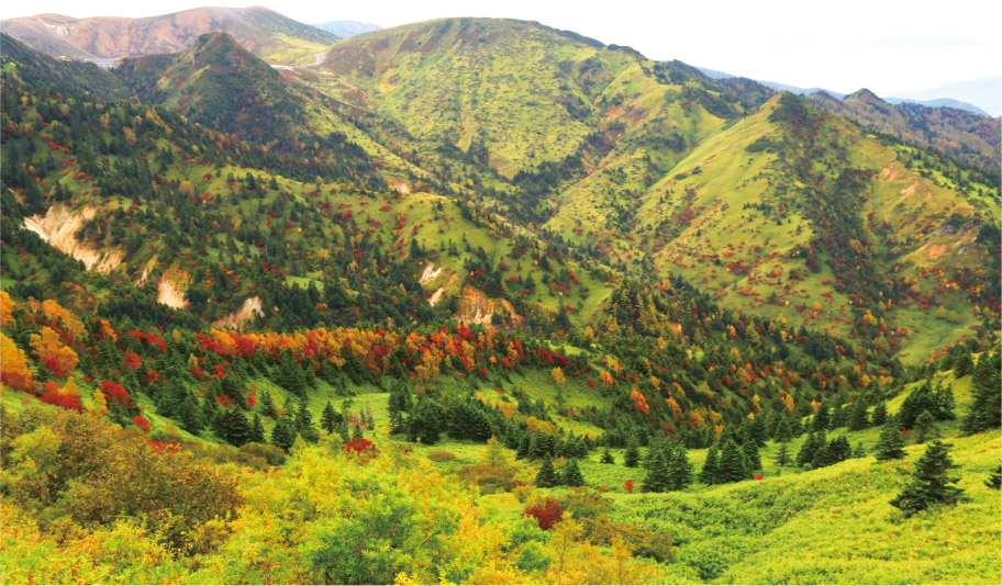 写真:横手山からの壮大な景色