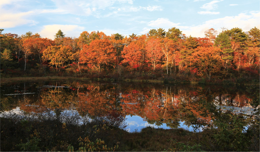 写真:一沼の湖面に映る美しい紅葉