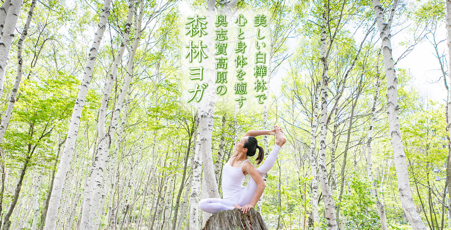 心と身体を癒やす奥志賀高原の森林ヨガ
